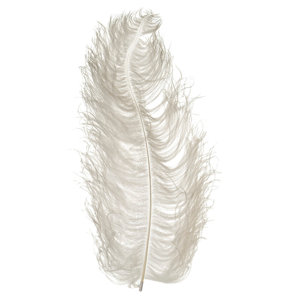 Cheap ostrich plume feathers sales