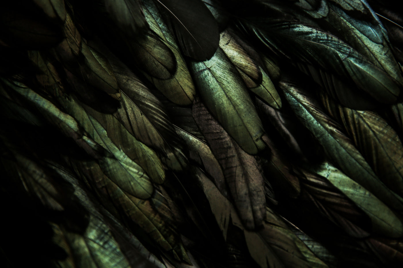 Feather Fringes For Millinery