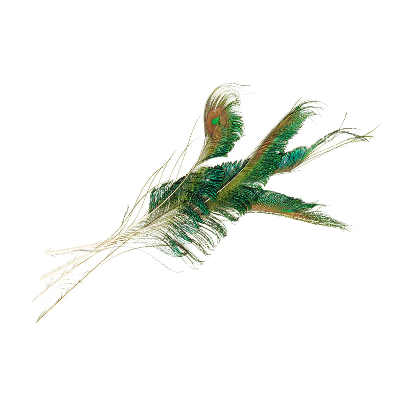 F011 Peacock Swords