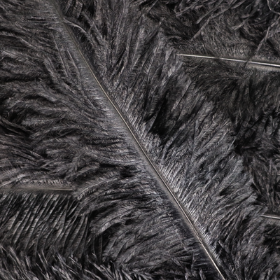 F104 Ostrich Feather
