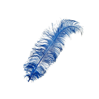 F104 Ostrich Feather