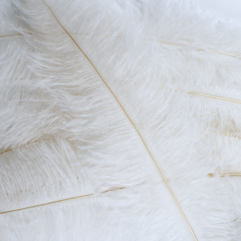 Where to buy cheap ostrich outlet feathers