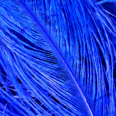 F104 Ostrich Feather
