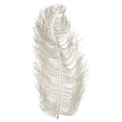 F105 Prime Ostrich Plume