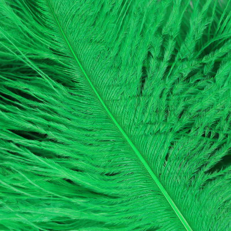 BOGO 50% Apple / Lime Green Ostrich Feathers 29-32 - SPADS