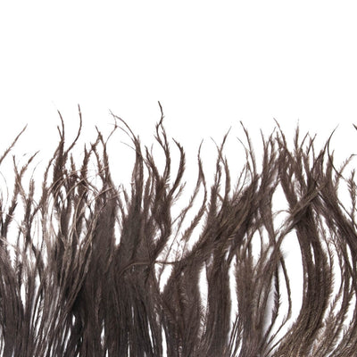 F312 Ostrich Fringe