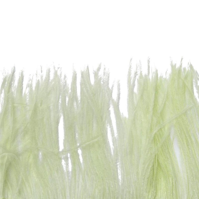 F312 Ostrich Fringe