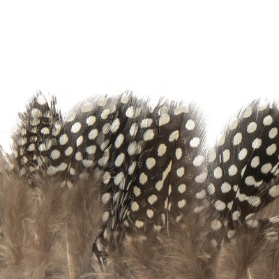 F315 Guinea Fowl Fringe