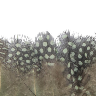 F315 Guinea Fowl Fringe