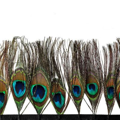 F338 Peacock Eye Fringe