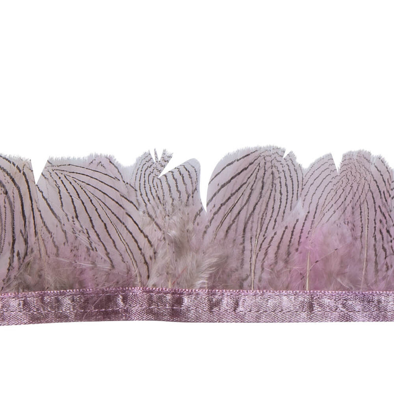 F340 Silver Pheasant