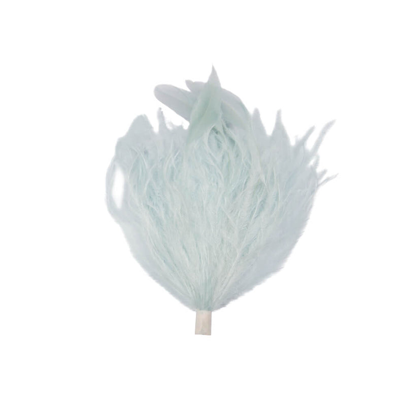 F912 Ostrich/Coque