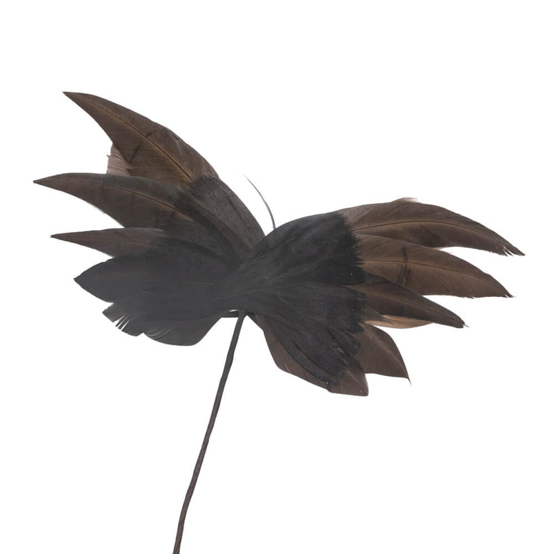F916 Butterfly